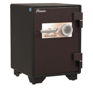 két sắt Pioneer NTPI116K1DT