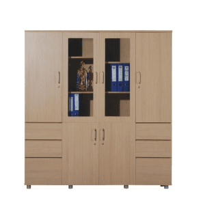 Tủ hồ sơ văn phòng hiện đại TTL46