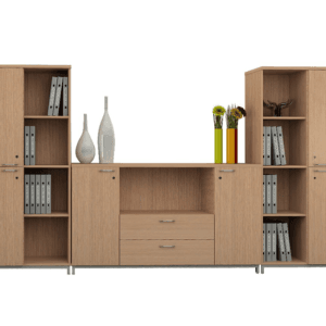 Tủ hồ sơ nhiều ngăn Ngọc Thịnh TTL47