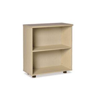 Tủ hồ sơ đơn giản giá rẻ TTL51