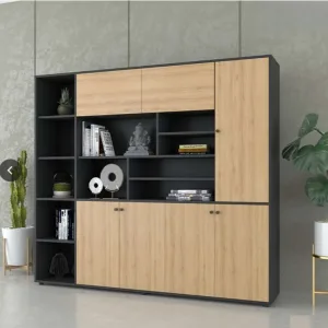 Tủ tài liệu cao cấp phủ Melamine TTL68