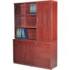 Tủ tài liệu ngang TTL10