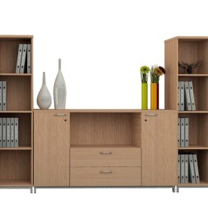 Tủ hồ sơ nhiều ngăn Ngọc Thịnh TTL47