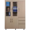 68 Mãu Tủ tài liệu văn phòng cao cấp TTL59