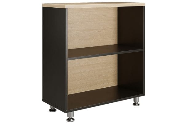 Tủ tài liệu thấp 02 ngăn 