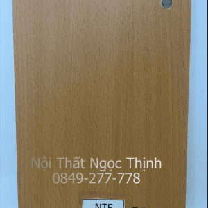 Ván công nghiệp MDF NTF-GD T