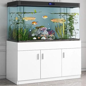 Tủ để bể cá đơn giản TC102
